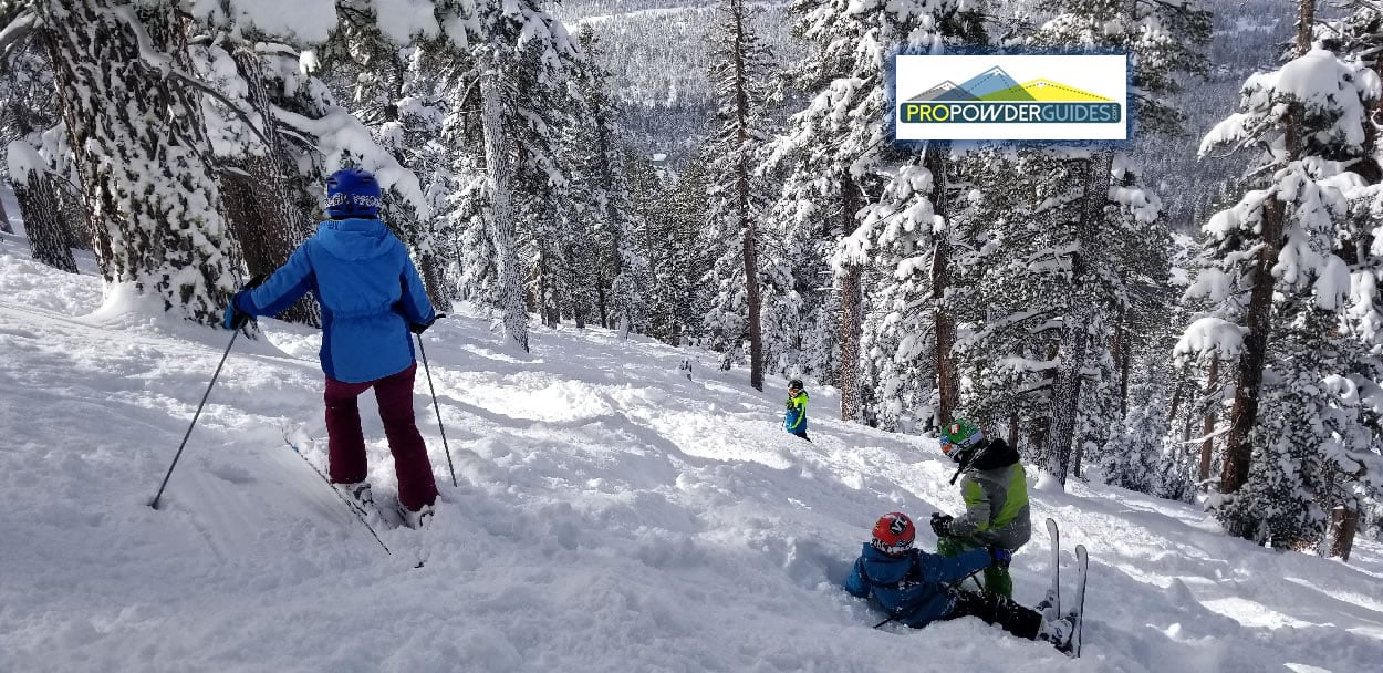 High-level ski coaching for advanced skier mastering carving and terrain